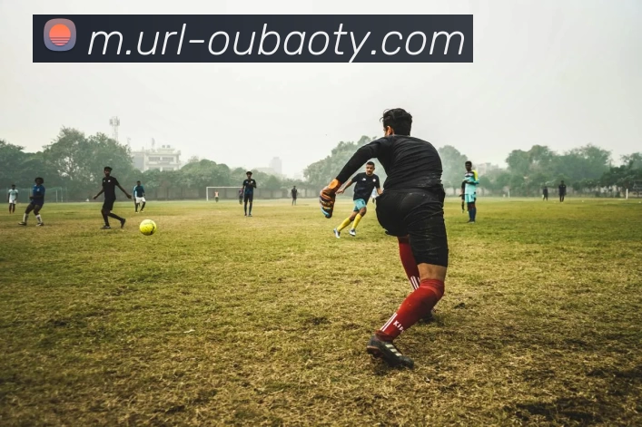 欧宝娱乐APP 封面图